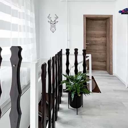 Ligeti Bastya Vendeghaz Apartment *