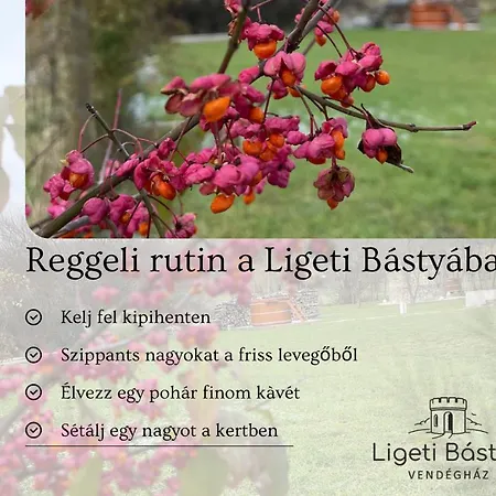 Apartment Ligeti Bastya Vendeghaz *