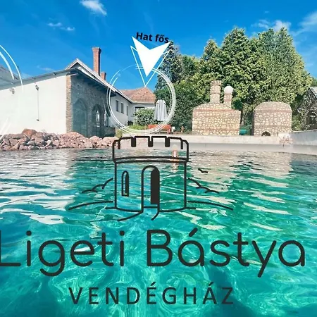 Ligeti Bastya Vendeghaz *