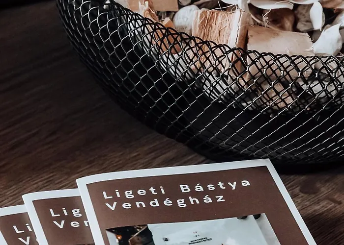 Ligeti Bastya Vendeghaz Lejlighed Liget