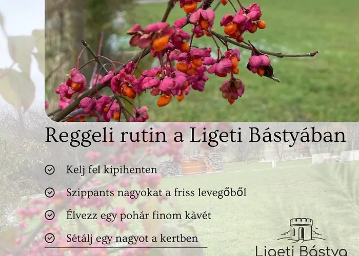 Lejlighed Ligeti Bastya Vendeghaz *