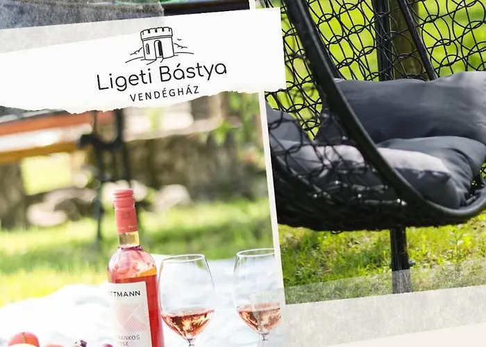Ligeti Bastya Vendeghaz *